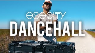 Dancehall Mix 2017 | The Best of Dancehall 2017 by OSOCITY