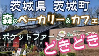 【茨城ランチ】ポケットファームどきどき森のベーカリー＆カフェ