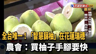 全台唯一! 「智慧篩柚」在花蓮瑞穗 農會籲早點買－民視新聞