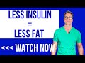 Lose Fat by Lowering Insulin