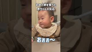 【離乳食】初めて卵を食べた時の赤ちゃんの反応がかわいい