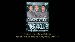 Raspjevane Meraklije 2017 - Rasulo se jato golubova - Uživo