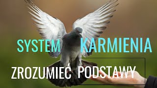 GOŁĘBIE POCZTOWE - KARMA.. KARMIENIE..JAK TO DOBRZE ZROBIĆ?