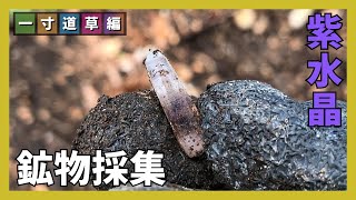 【鉱物採集】ちょっと寄り道、紫水晶探し！【一寸道草編】