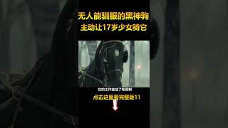 无人能驯服的黑神驹，主动让17岁少女骑它，温情治愈电影《黑神驹》11#电影解说 #shorts #温情 #治愈  #電影 #movie #film