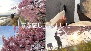 【Vlog】河津桜を見ながらまったりお散歩デート