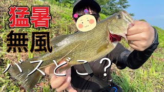 【八郎潟】西部の次は東部だああ！！…って思っていたら……【バス釣り】#20