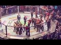 Conor McGregor vs Khabib Team Brawl After UFC 229 HD