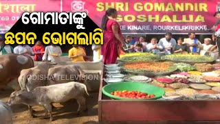 Ganesh Bagaria, MD, Grihasti Udyog offers 56 bhog to cows in Rourkela