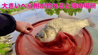 久しぶりの釣行　千葉県柏市　大堀川