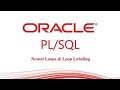 Oracle PLSQL: Nested Loops & Labels