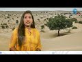 thar desert താർ മരുഭൂമി ഈ നൂറ്റാണ്ടിന്‍റെ അവസാനത്തോടെ പച്ചപ്പ് നിറഞ്ഞതായി തീരുമെന്ന് പഠനങ്ങൾ