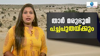 Thar Desert | താർ മരുഭൂമി ഈ നൂറ്റാണ്ടിന്‍റെ അവസാനത്തോടെ പച്ചപ്പ് നിറഞ്ഞതായി തീരുമെന്ന് പഠനങ്ങൾ