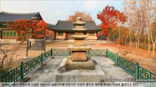 과천, 백성들의 마음, 시흥 문원리 삼층석탑 : 태믹스 K-Culture(케이컬쳐), 코리안오아시스(koreanoasis) 문화유산 사진/그림 이미지 콘텐츠 판매 플랫폼