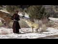 Can St. Francis Bring Peace by Taming the Wolf?