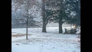 First snow at our new house!   January 5, 2025