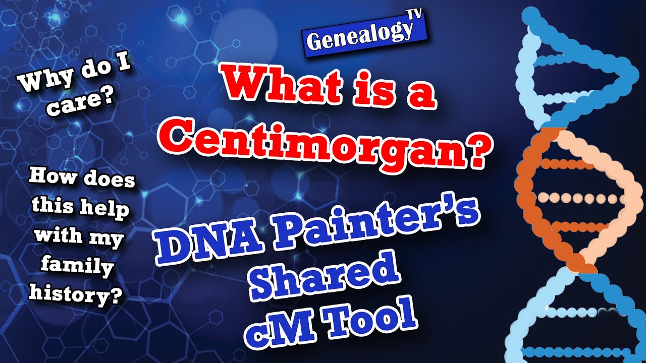 What Is A Centimorgan? How DNA Painter’s Shared CM Tool Can Help ...