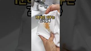 김치얼룩 지우는 초간단 꿀팁#shots