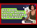 Why Does Python Intern Small Integers And Strings? - Python Code School