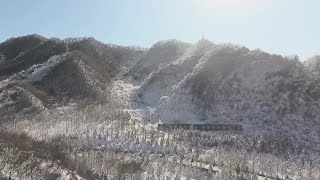 キンシコウ、餌を求めて人里へ　陝西省鳳県