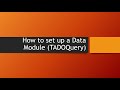 Delphi - Set up a Data Module (Query - How To)