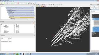 Plot Processing Step 3 Segment the trees