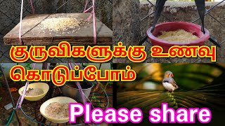 பசியோடு இருக்கும் குருவிகளுக்கு  இது போல உணவு கொடுங்கள்🙏🙏/How to make a bird food and water feeder