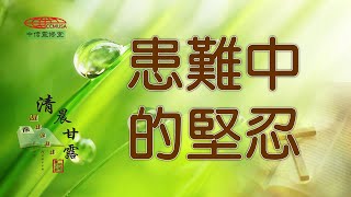 「清晨甘露」中信線上靈修室—05/19/2022   患難中的堅忍