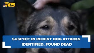 Suspect in recent dog attacks identified, found dead