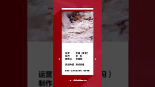 男子没有核酸检测回小区被拦 拿起石头和椅子怒砸保安亭