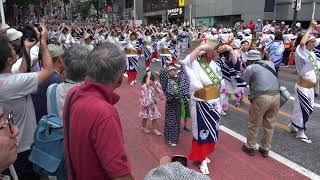 関東甲南同窓会_鹿児島おはら祭り2019＠渋谷＿01（4K版）