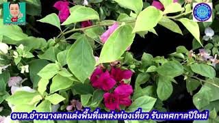 กระบี่-อบต.อ่าวนางเตรียมตกแต่งสถานที่ท่องเที่ยว สร้างสีสันต้อนรับปีใหม่ 2565