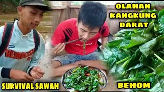 SURVIVAL KEBUN, TUMIS KANGKUNG DARAT, OLAHAN TRADISIONAL || CI ANJUR SELATAN JAWA BARAT