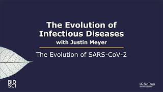 The Evolution of SARS-CoV-2