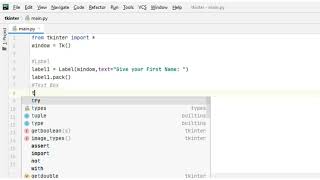 How to make a Text Box with Python Tkinter - Basic GUI #4