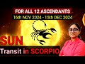 SUN Transit in SCORPIO 2024 | FOR ALL 12 ASCENDANTS | 16th NOV - 15th DEC 2024