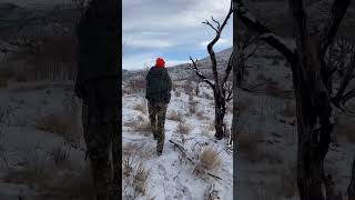 Colorado 2024-2025 elk hunt. #elkhunt #hunting #sitka #underarmour #cabelas #youtubeshorts