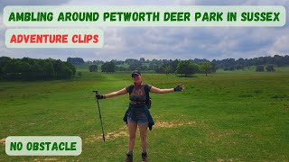 Ambling around Petworth Deer Park in Sussex