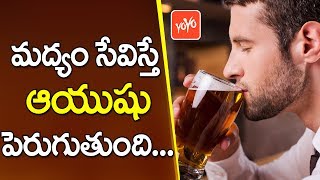 మద్యం సేవిస్తే ఆయుషు పెరుగుతుంది !  Can Drinking Alcohol Really Extend Your Life?