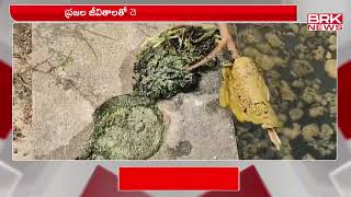 కృష్ణాజిల్లా గన్నవరంలో దారుణమైన పరిస్థితి | Krishna district's Gannavaram || BRK News