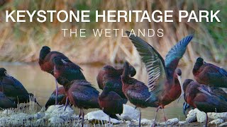 Keystone Heritage Park - The Wetlands, El Paso, Texas