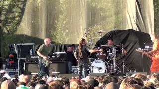 Flag - Full Set Live at Riot Fest Chicago 2013