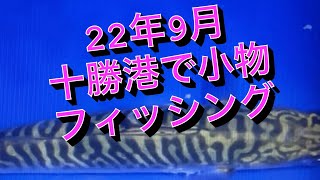 2022年９月　十勝港でサバダンス♪