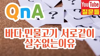 바다,민물고기 서로같이 살수없는이유