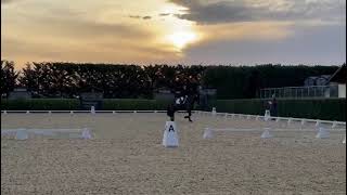 VID 20240128 WA0016 Dressage Jan 2024