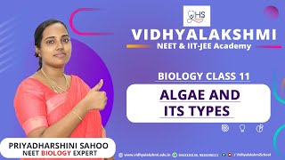 Types of Algae | Biology | Plant kingdom | NEET | Class11