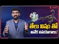 తేలు విషం లీటర్ 82 కోట్లు... costliest scorpion poision 82 crores per litre scorpions farming