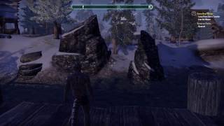 Elder Scrolls Online - Snow Bear Plunge Achievement - New Life Festival