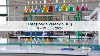 Estágios de Verão no DEQ 2024