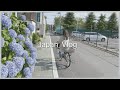 JAPAN VLOG | Buying my first bike 🚲| Grocery shopping